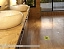 Точечный трап Pestan Confluo Standard Vertical Tide Gold, 13000160 Точечный трап Pestan Confluo Standard Vertical Tide Gold, 13000160