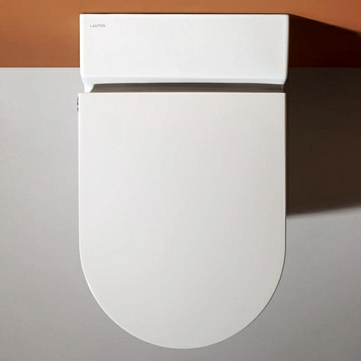 Унитаз с функцией биде Laufen Cleanet Navia Shower WC, матовый Унитаз с функцией биде Laufen Cleanet Navia Shower WC, матовый