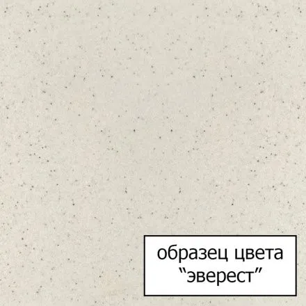 Смеситель Omoikiri Tonami EV 4994063 для кухни под фильтр, эверест и хром