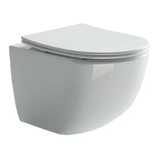 Подвесной унитаз Ceramicanova Forma Rimless CN3009 безободковый, с сиденьем Soft Close, сантехфарфор