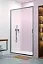 Душевая дверь Radaway Alienta DWJ 100, 10260100-01-01