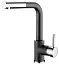 Смеситель AquaSanita 2383 601 black metallic