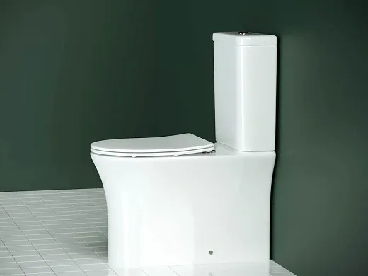 Напольный унитаз Ceramicanova Star Rimless CN1904 безободковый, с сиденьем Soft Close, сантехфарфор