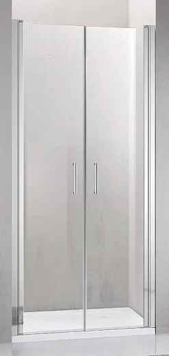 Душевая дверь Adema НАП ДУО/NAP DUO 100x195 (прозрачные)