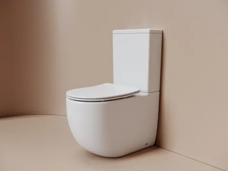 Унитаз напольный пристенный Ceramicanova Метрополь (Metropol) смыв Торнадо, белый матовый, CN4001TMW