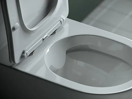 Напольный унитаз Ceramicanova Star Rimless CN1904 безободковый, с сиденьем Soft Close, сантехфарфор