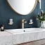 Стакан для щёток Hansgrohe AddStoris, цвет держателя шлифованная бронза, 41749140