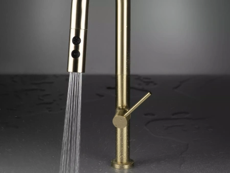 Смеситель для кухни Deante Olfato Gold BQO_R72M с выдвижным изливом