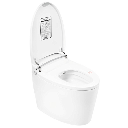 Унитаз-биде Brunnen WAL BW-2502 напольный Унитаз-биде Brunnen WAL BW-2502 напольный