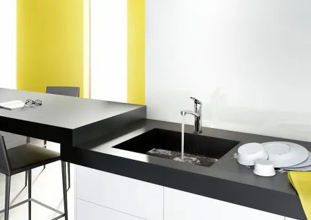 Смеситель Hansgrohe Focus 31806800 для кухонной мойки