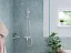 Hansgrohe AddStoris Угловая корзинка черный матовый 41741670
