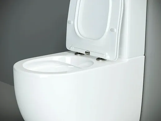 Напольный безободковый унитаз Ceramicanova Metropol CN4001 Rimless, крышка микролифт, сантехфарфор