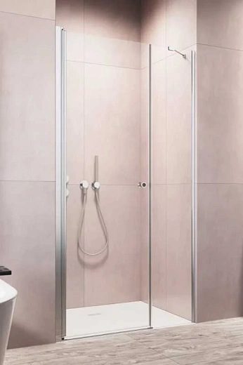 Душевая дверь в нишу Radaway EOS DWS 120 L 137992-01-01L