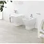 Крышка-сиденье Laufen Palace 8.9170.0.300.000.1 петли хром