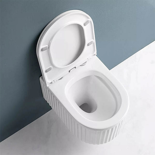 Комплект инсталляции с унитазом 6 в 1 Roxen StounFix Dual Fresh 968267 (состоит из: 710200, Santi 410280B, 530200-01) Комплект инсталляции с унитазом 6 в 1 Roxen StounFix Dual Fresh 968267 (состоит из: 710200, Santi 410280B, 530200-01)