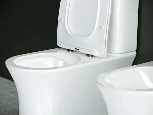 Напольный унитаз Ceramicanova Star Rimless CN1904 безободковый, с сиденьем Soft Close, сантехфарфор