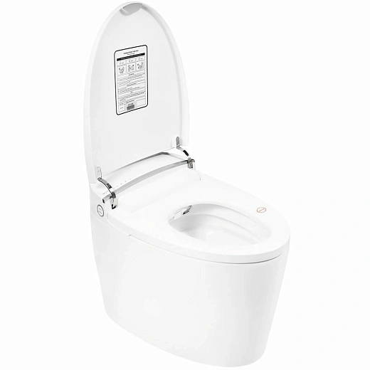 Унитаз-биде Brunnen WAL BW-2502 Auto open/close