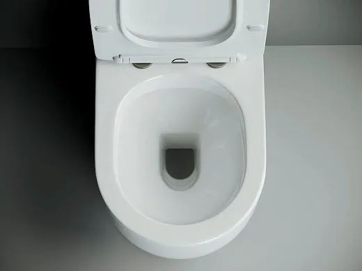 Напольный безободковый унитаз Ceramicanova Metropol CN4001 Rimless, крышка микролифт, сантехфарфор