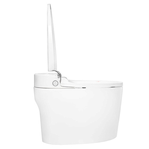 Унитаз-биде Brunnen WAL BW-2502 напольный Унитаз-биде Brunnen WAL BW-2502 напольный
