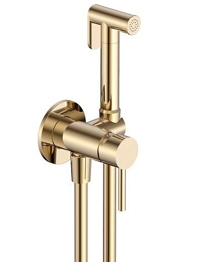 AQM6217BG AQUAme Siena Готовый комплект гигиенического душа (скрытый монтаж, латунная лейка), золото шлифованное