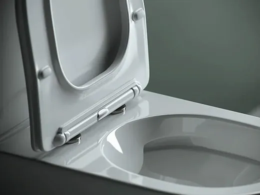 Напольный унитаз Ceramicanova Star Rimless CN1904 безободковый, с сиденьем Soft Close, сантехфарфор