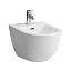 Биде подвесное Laufen Pro 8309524003021, покрытие LCC