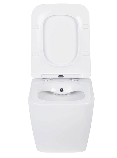 Комплект инсталляции с унитазом 6 в 1 Roxen StounFix Dual Fresh 533185 (состоит из: 710200, Santi 410260M, 530135-01X) Комплект инсталляции с унитазом 6 в 1 Roxen StounFix Dual Fresh 533185 (состоит из: 710200, Santi 410260M, 530135-01X)