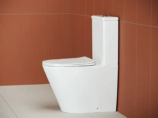 Напольный безободковый унитаз Ceramicanova HighLight Rimless, крышка микролифт CN1802, сантехфарфор