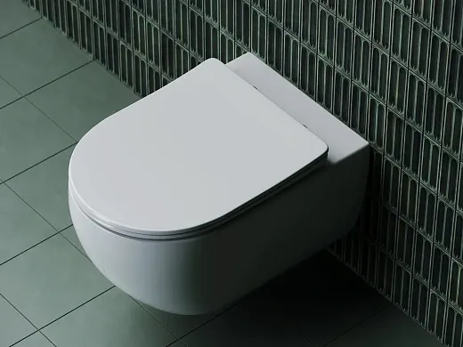 Подвесной унитаз Ceramicanova Long Rimless, безободковый, крышка микролифт, белый, CN3015