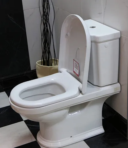 Чаша напольного унитаза Villeroy &amp; Boch Hommage 666210R1