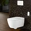 Унитаз-биде Villeroy&Boch ViClean, V0E100R1