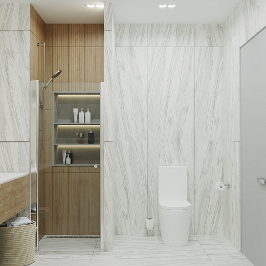 Душевая дверь Тритон Уно 70x185 Душевая дверь Тритон Уно 70x185