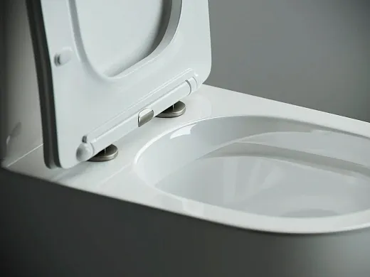 Напольный безободковый унитаз Ceramicanova Metropol CN4001 Rimless, крышка микролифт, сантехфарфор