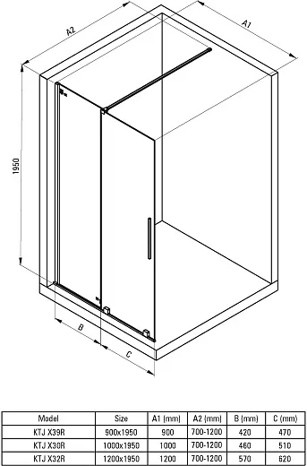 Душевая стенка Deante Prizma Walk-In 100х195 KTJ_030P