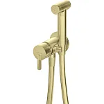Смеситель для биде Deante Silia Gold Br BQS_R34M брашированное золото
