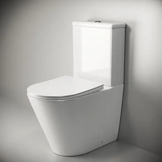 Напольный безободковый унитаз Ceramicanova HighLight Rimless, крышка микролифт CN1802, сантехфарфор