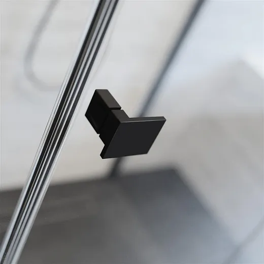 Душевая дверь Radaway Essenza New Black DWJ 100R
