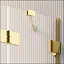 Шторка на ванну Radaway Essenza Pro Gold PND II 120 L (прозрачное/золото)