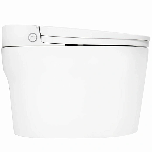 Унитаз-биде Brunnen WAL BW-2502 Auto open/close