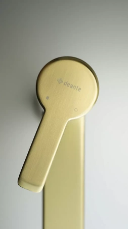 Смеситель для умывальника Deante Arnika Gold Br BQA_R20N