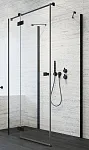 Душевая дверь Radaway Essenza New Black KDJ+S 120L