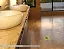 Точечный трап Pestan Confluo Standard Tide 3 Gold, 13000115