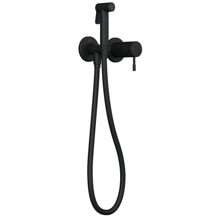 Встраиваемый смеситель Teska Atlas Tera T5738 с гигиеническим душем