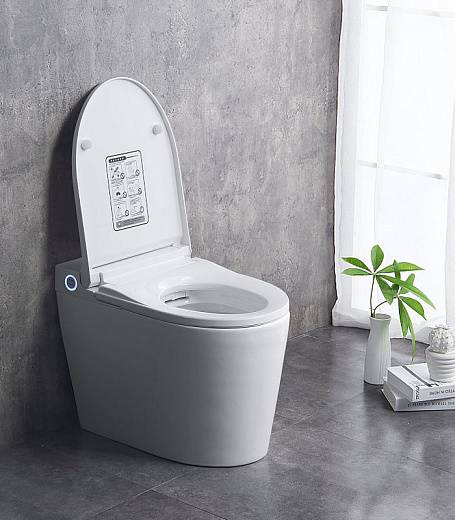 Унитаз-биде Brunnen WAL BW-2402 Auto open/close подвесной Унитаз-биде Brunnen WAL BW-2402 Auto open/close подвесной