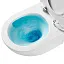 AQM2002PRO Унитаз подвесной AQUAme с сиденьем SoftClose, технология смыва Invisible, скрытый крепеж. 490x370x360