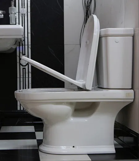 Чаша напольного унитаза Villeroy &amp; Boch Hommage 666210R1
