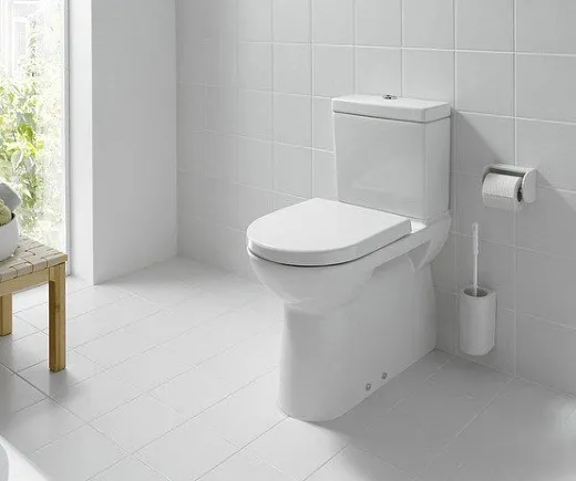 Чаша напольного унитаза Laufen Pro 2495.8.000.000.1