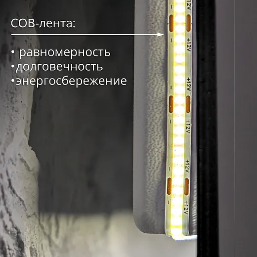 Зеркало Raval Альтера Black 60х100 бесконтакт Гор/верт, AltBl.02.600x1000/W/RL