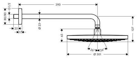 Верхний душ Hansgrohe Raindance Select S 300 2jet 27378400