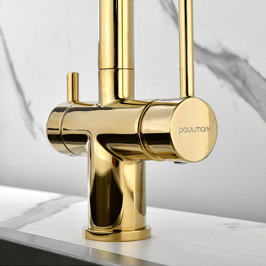 Смеситель PAULMARK SERPENTINE Se213222-G, (золото)